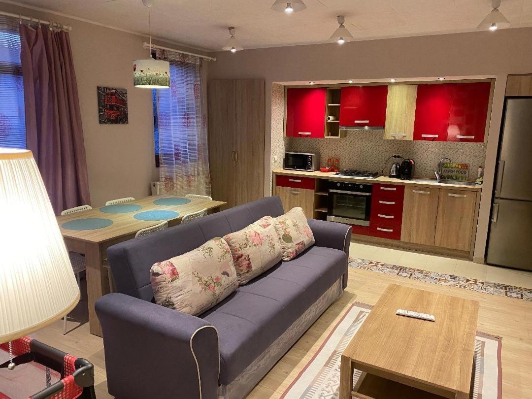 דירות קלוז'-נאפוקה Igi Red Flat With Free Private Parking מראה חיצוני תמונה